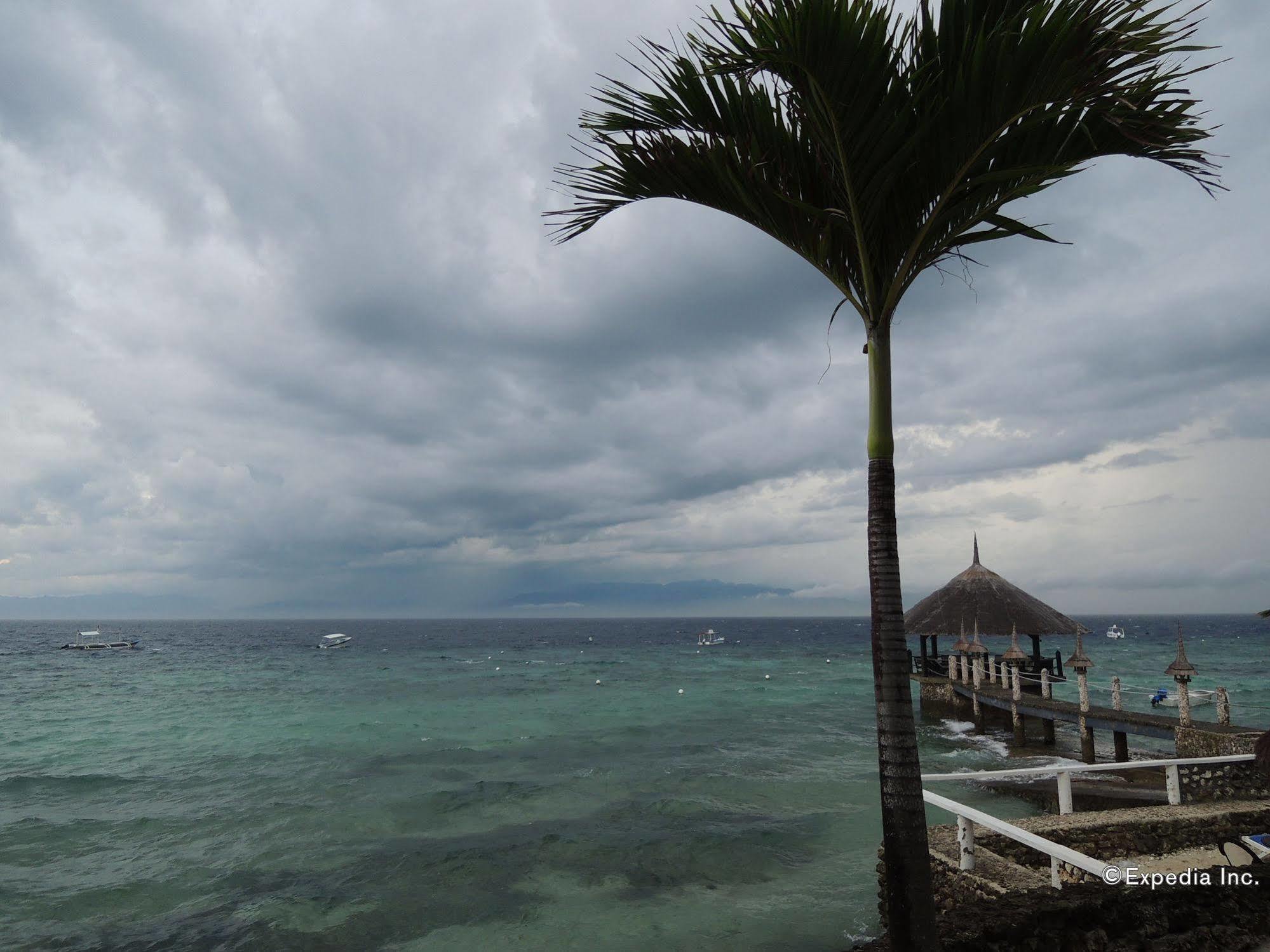 Asian Belgian Dive Resort Moalboal Exterior foto